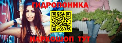 mdpv Кингисепп