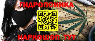 mdpv Кингисепп