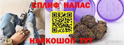 mdpv Кингисепп