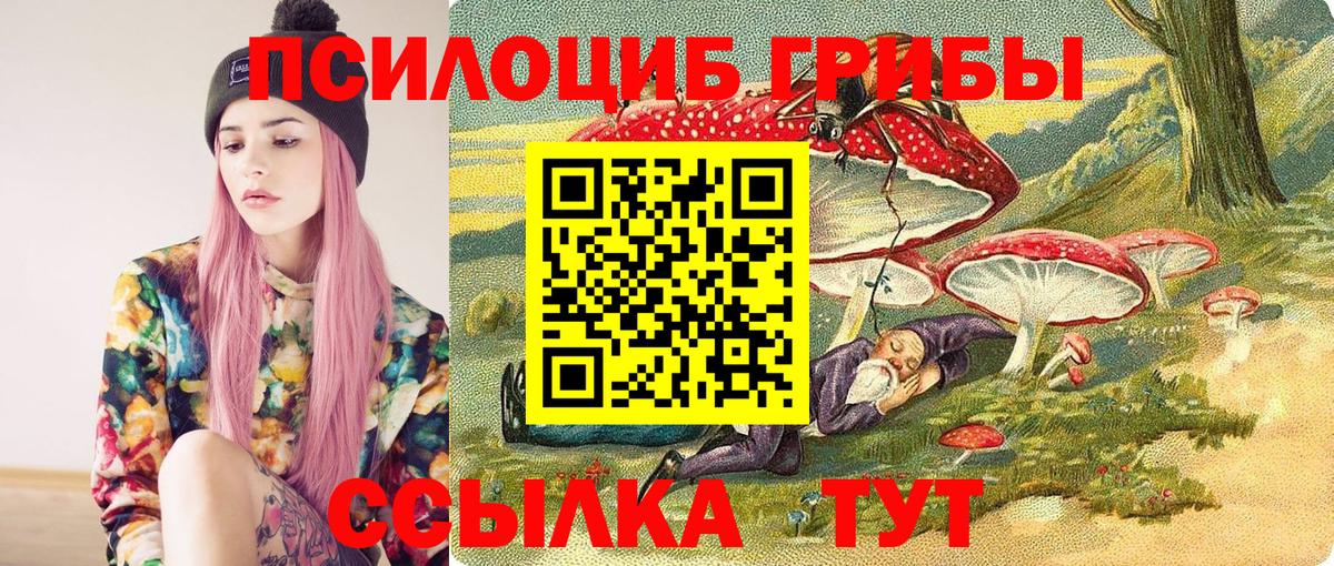 Конаково  Галлюциногенные грибы MAGIC MUSHROOMS  Вход с VPN 